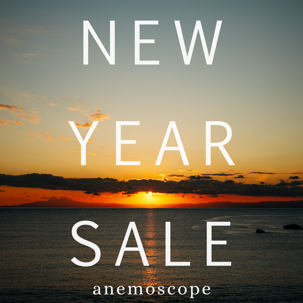 NEW YEAR SALE 2026 60%