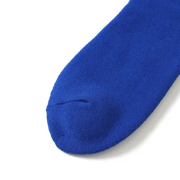 CHALLENGER - FISH LOGO SOCKS - BLUE