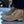 SUNSET BAY - ROVER - SAND BEIGE