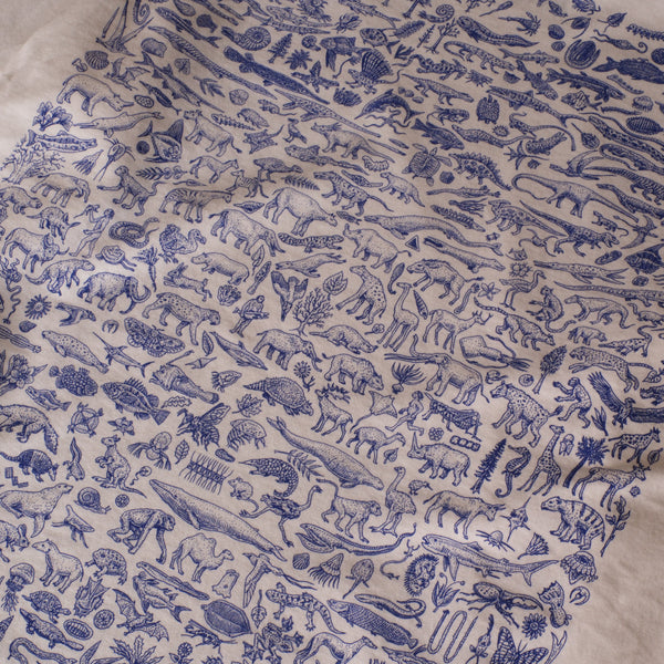 RAY TROLL - EVOLVE L/S T Shirt - WHITE