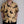 MASSTARD - RESORT SHIRT - panther GOLD