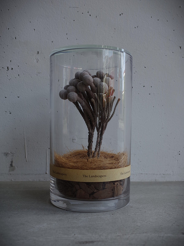 The Landscapers -DC 20 with LID WOOD- Brunia